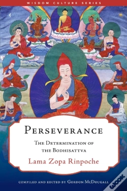 Capa do artigo Perseverance
