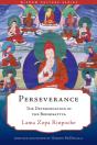 Perseverance - Preview