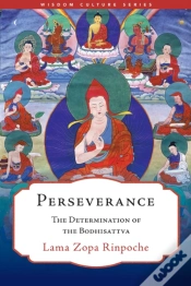 Capa do artigo Perseverance
