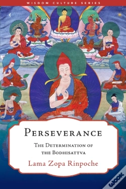 Capa do artigo Perseverance