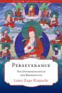 Perseverance - Preview