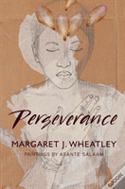 Capa do artigo Perseverance