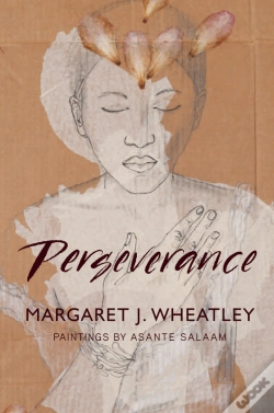 Capa do artigo Perseverance