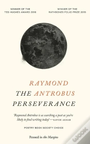 Capa do artigo Perseverance