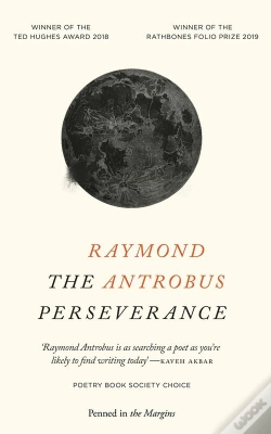 Capa do artigo Perseverance