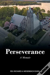 Capa do artigo Perseverance