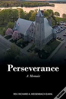 Capa do artigo Perseverance