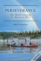 Capa do artigo Perseverance