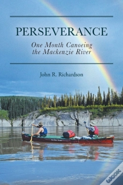 Capa do artigo Perseverance