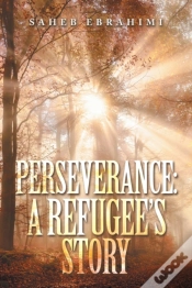 Capa do artigo Perseverance