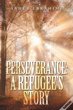 Capa do artigo Perseverance