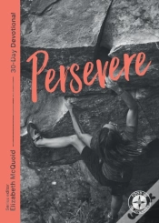 Capa do artigo Persevere