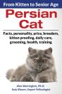Persian Cat - Preview