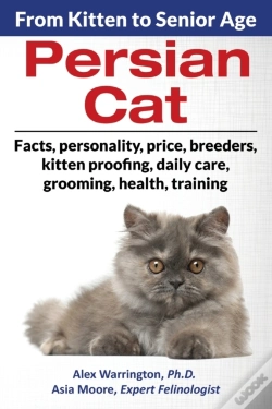 Capa do artigo Persian Cat