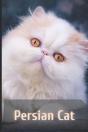 Persian Cats - Preview