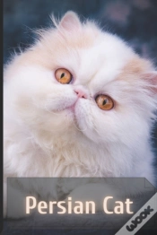 Capa do artigo Persian Cats