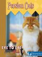 Persian Cats - Preview