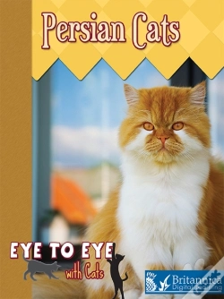 Capa do artigo Persian Cats