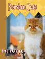 Persian Cats - Preview