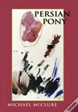 Capa do artigo Persian Pony