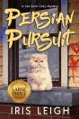Persian Pursuit - Preview