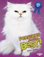 Persians Are The Best! - Preview
