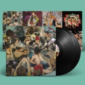 Capa do artigo Person Pitch - Vinil
