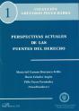 Perspectivas Actuales De Las Fuentes Del Derecho - Preview