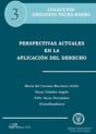 Perspectivas Actuales En La Aplicación Del Derecho - Preview