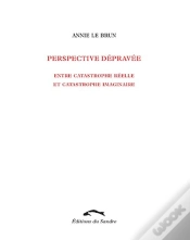 Capa do artigo Perspective Dépravée