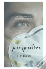 Capa do artigo Perspective