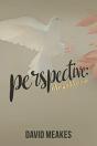 Perspective - Preview