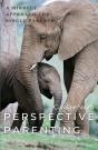 Perspective Parenting: A Mindful Approach For Single Parents - Preview