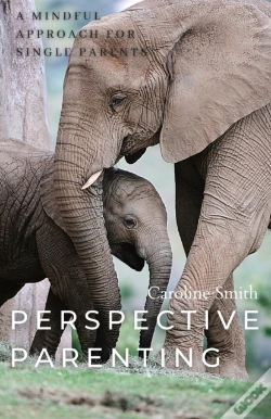 Capa do artigo Perspective Parenting