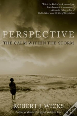 Capa do artigo Perspective