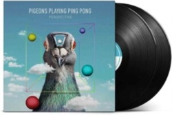 Capa do artigo Perspective - Vinil