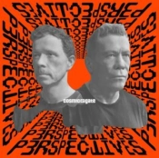 Capa do artigo Perspectives - CD