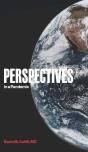 Perspectives In A Pandemic - Preview