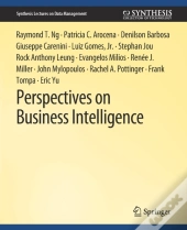 Perspectives On Business Intelligence