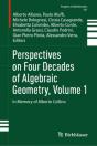 Perspectives On Four Decades Of Algebraic Geometry, Volume 1 - Preview