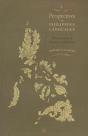 Perspectives On Philippine Languages - Preview