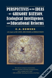 Capa do artigo Perspectives On The Ideas Of Gregory Bat