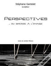 Perspectives...Du Bronze A L'Image