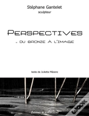 Capa do artigo Perspectives...Du Bronze A L