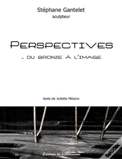 Capa do artigo Perspectives...Du Bronze A L'Image
