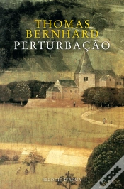 Capa do artigo Perturbação