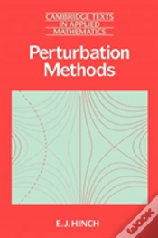 Capa do artigo Perturbation Methods