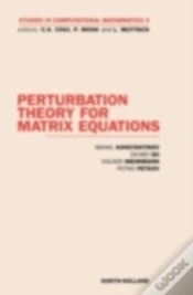 Capa do artigo Perturbation Theory For Matrix Equations