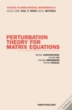 Capa do artigo Perturbation Theory For Matrix Equations