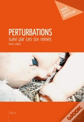 Perturbations